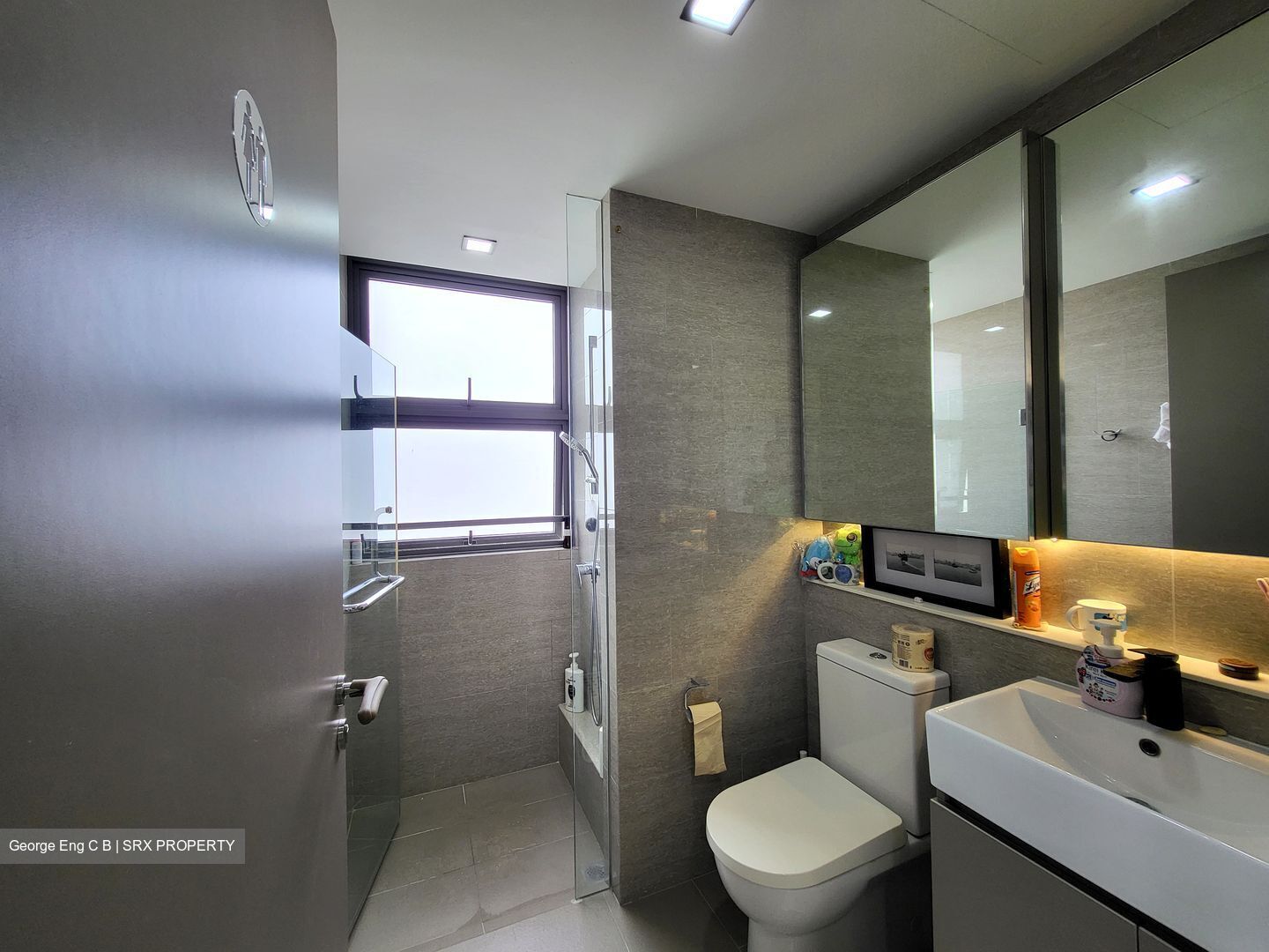 Waterwoods (D19), Condominium #389919751